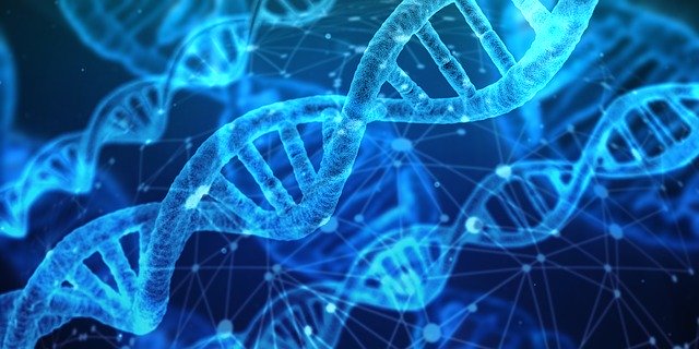Mitochondrial Disease in Compounding | Custom Health RX – Best Online Personalized Medicine and Wellness Pharmacy in Canton, Michigan